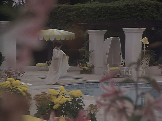 Celebrity Naked Nude Porn GIF