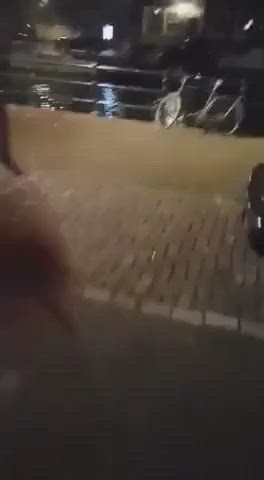 Doggystyle Exhibitionism Exhibitionist Hair Pulling Outdoor Public Teens Voyeur White bitch GF broad Porn GIF