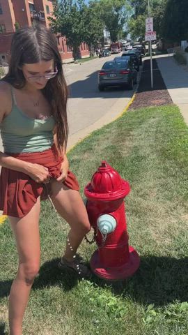 Amateur American Exhibitionism Exhibitionist Pee Peeing Piss Pissing Public Porn GIF