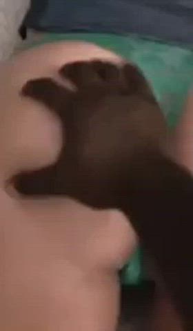 threesome Hotwife Rule34 Porn GIF