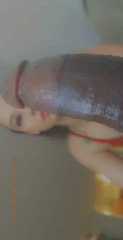 BBC blowjob latina POV Pawg Sloppy Porn GIF