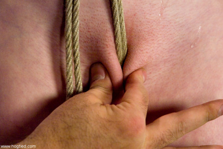 Freeporn Pornpics Hogtied Alexa Lynn Wild Blonde Naked