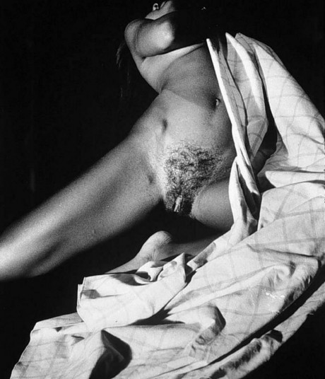 Vanessa Williams Nude In Penthouse Miss America Scandal 5