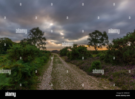 Broken Clouds Moving Quickly Over The Landscape On A Windy Day After A Storm On A Summer Evening In The New Forest Hampshire England Uk Photo