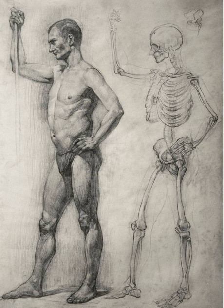 Male Figure Nude Drawing By Angelina Saatchi