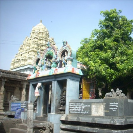 Siva Parvathi Marriage 3500 Years Ago Tree Evidence Hinduism In Ancient World Documented Podcast